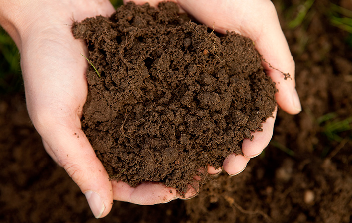 MI-Irish-Soil-iStock