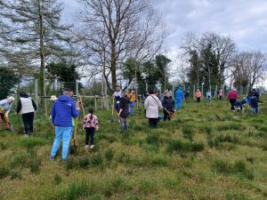 planting trees