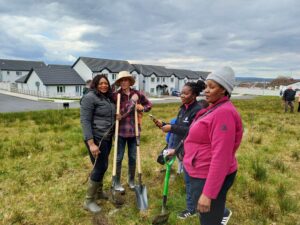 planting trees