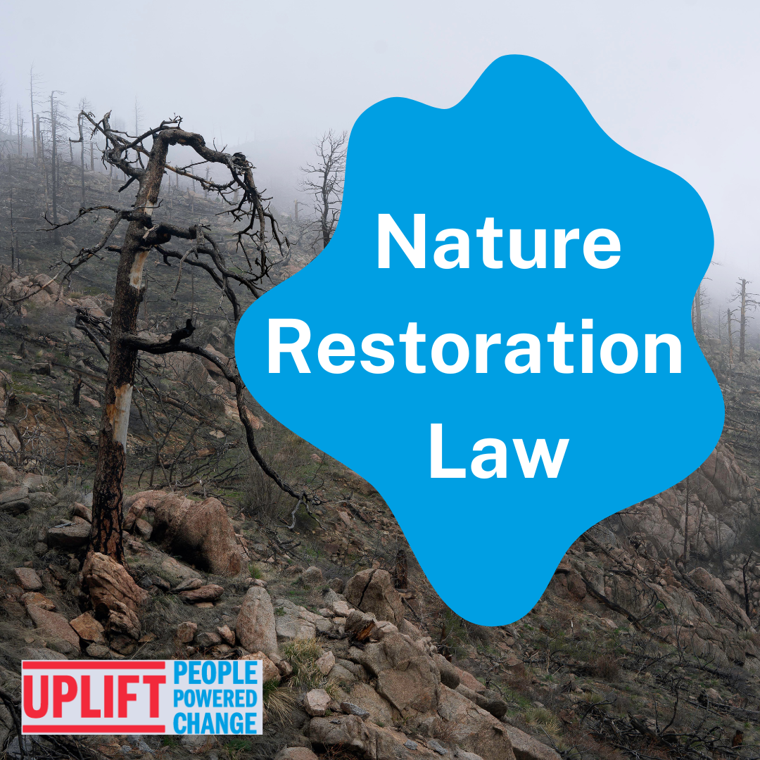 Support The Nature Restoration Law